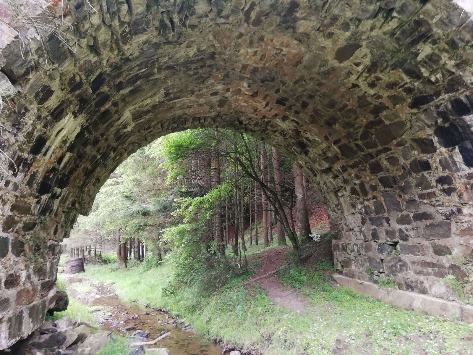 traseu anina – gârlişte
