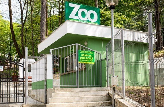 Grădina Zoologică Reșița lei tigri zimbri