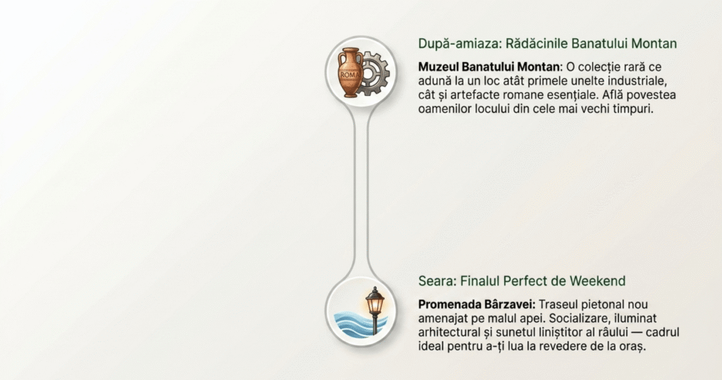 Ce sa faci in resita 9